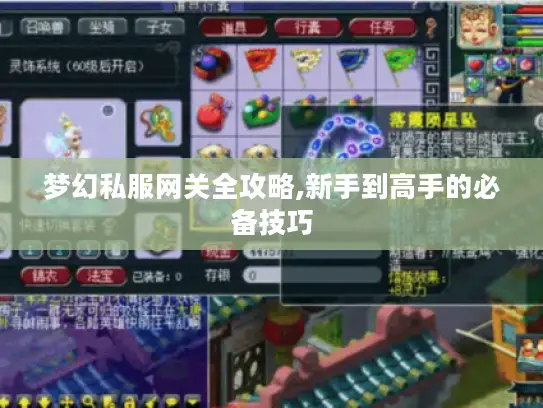 梦幻私服网关全攻略,新手到高手的必备技巧 梦幻私服网关全攻略,新手到高手的必备技巧