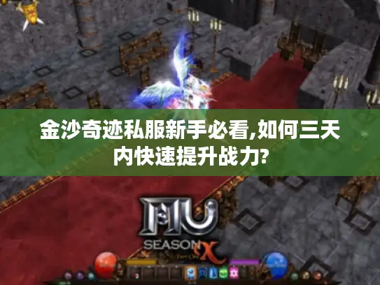 金沙奇迹私服新手必看,如何三天内快速提升战力?