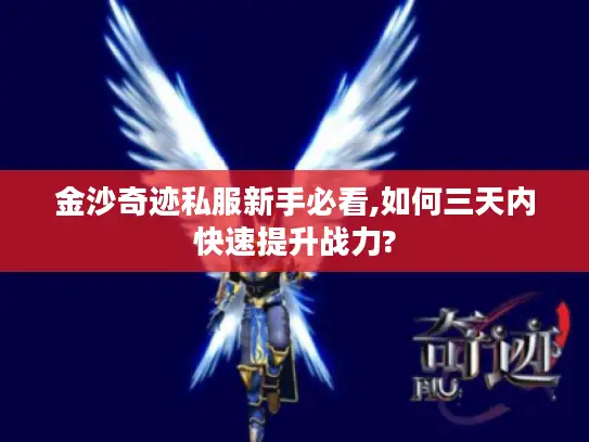 金沙奇迹私服新手必看,如何三天内快速提升战力?