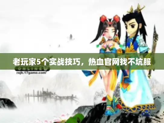 老玩家5个实战技巧，热血官网找不坑服