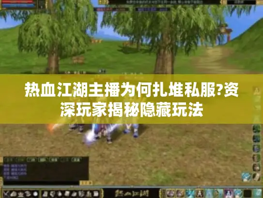 热血江湖主播为何扎堆私服?资深玩家揭秘隐藏玩法
