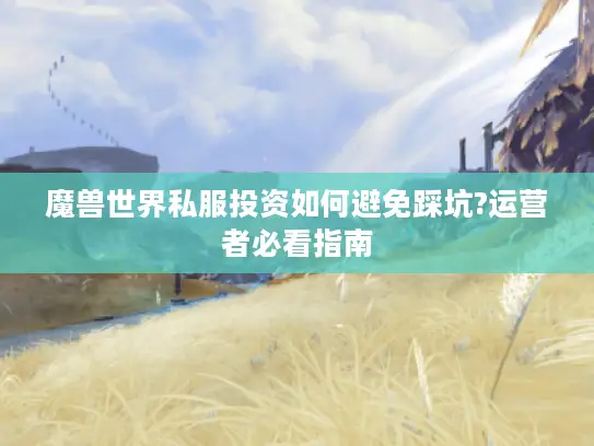 魔兽世界私服投资如何避免踩坑?运营者必看指南