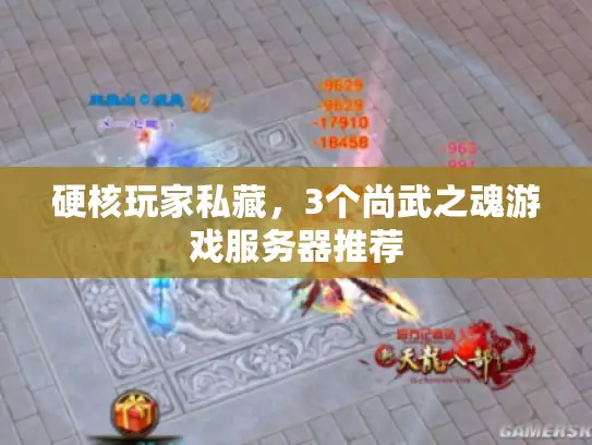 硬核玩家私藏,3个尚武之魂游戏服务器推荐 硬核玩家私藏,3个尚武之魂游戏服务器推荐