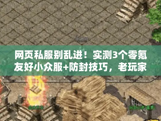 网页私服别乱进！实测3个零氪友好小众服+防封技巧，老玩家私藏干货