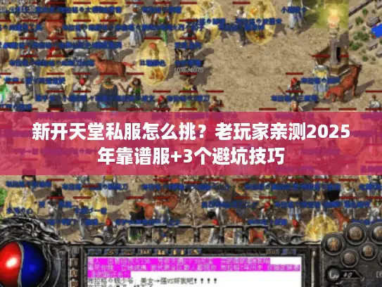 新开天堂私服怎么挑?老玩家亲测2025年靠谱服+3个避坑技巧 新开天堂私服怎么挑?老玩家亲测2025年靠谱服+3个避坑技巧