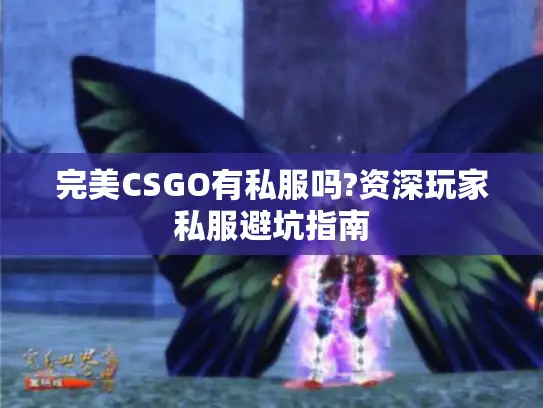 完美CSGO有私服吗?资深玩家私服避坑指南