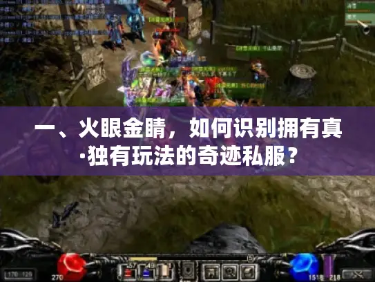 一、火眼金睛，如何识别拥有真·独有玩法的奇迹私服？