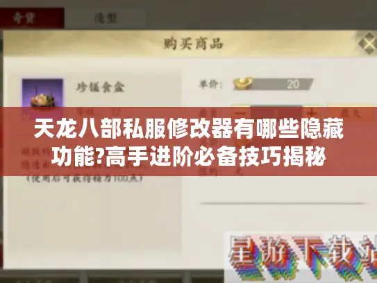 天龙八部私服修改器有哪些隐藏功能?高手进阶必备技巧揭秘