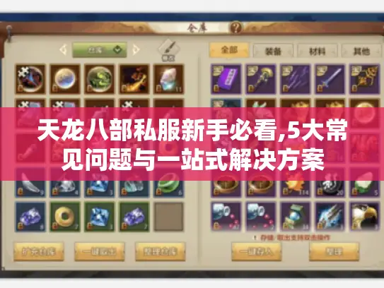 天龙八部私服新手必看,5大常见问题与一站式解决方案 天龙八部私服新手必看,5大常见问题与一站式解决方案