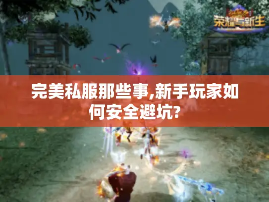 完美私服那些事,新手玩家如何安全避坑?