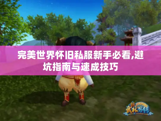 完美世界怀旧私服新手必看,避坑指南与速成技巧