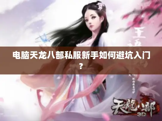 电脑天龙八部私服新手如何避坑入门?