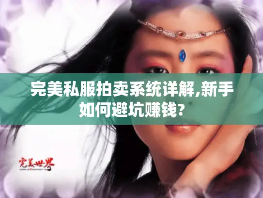 完美私服拍卖系统详解,新手如何避坑赚钱? 完美私服拍卖系统详解,新手如何避坑赚钱?