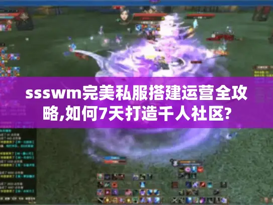 ssswm完美私服搭建运营全攻略,如何7天打造千人社区?