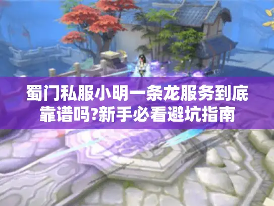 蜀门私服小明一条龙服务到底靠谱吗?新手必看避坑指南
