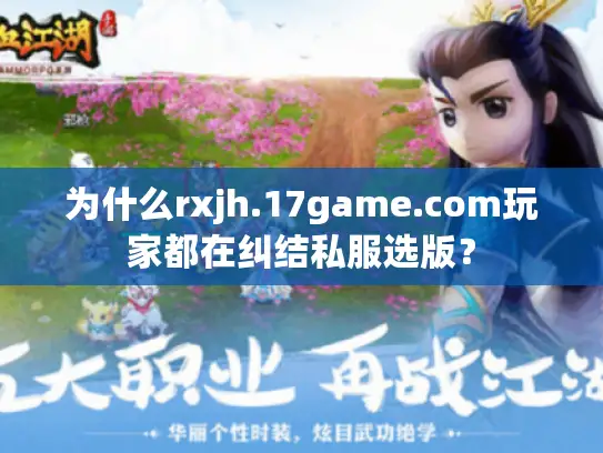 为什么rxjh.17game.com玩家都在纠结私服选版？