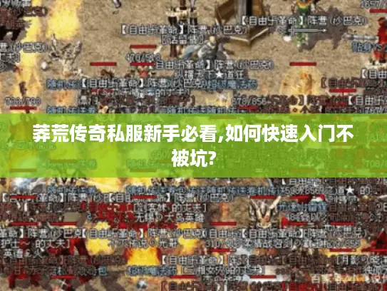 莽荒传奇私服新手必看,如何快速入门不被坑? 莽荒传奇私服新手必看,如何快速入门不被坑?