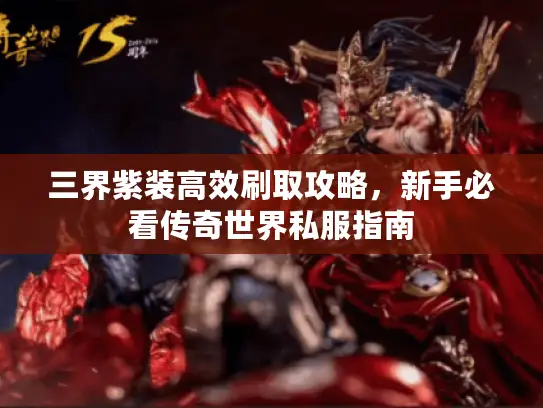 三界紫装高效刷取攻略，新手必看传奇世界私服指南