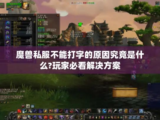 魔兽私服不能打字的原因究竟是什么?玩家必看解决方案