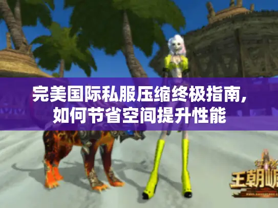 完美国际私服压缩终极指南,如何节省空间提升性能