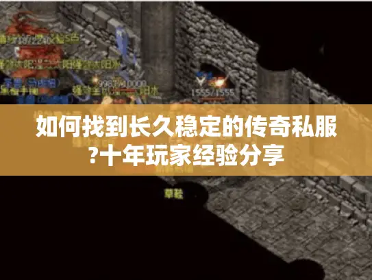 如何找到长久稳定的传奇私服?十年玩家经验分享