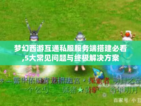 梦幻西游互通私服服务端搭建必看,5大常见问题与终极解决方案 梦幻西游互通私服服务端搭建必看,5大常见问题与终极解决方案
