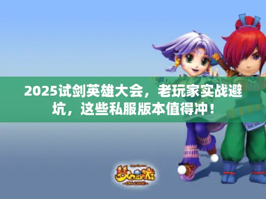 2025试剑英雄大会，老玩家实战避坑，这些私服版本值得冲！