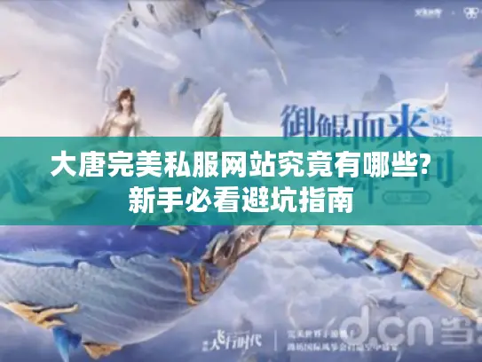 大唐完美私服网站究竟有哪些?新手必看避坑指南