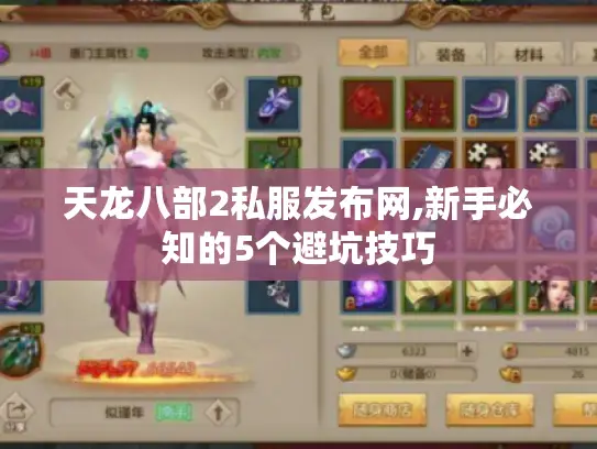 天龙八部2私服发布网,新手必知的5个避坑技巧