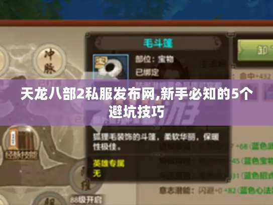 天龙八部2私服发布网,新手必知的5个避坑技巧
