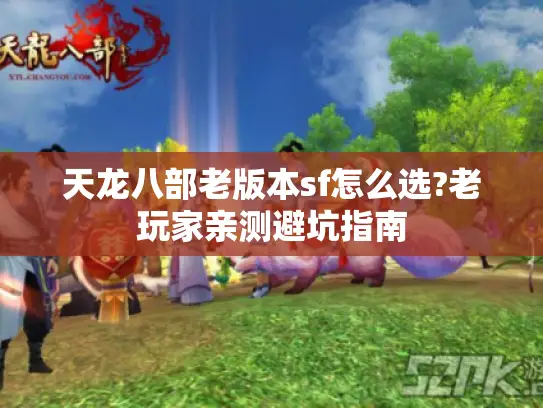 天龙八部老版本sf怎么选?老玩家亲测避坑指南