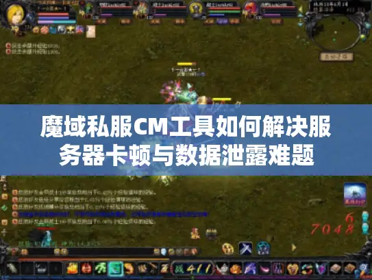 魔域私服CM工具如何解决服务器卡顿与数据泄露难题