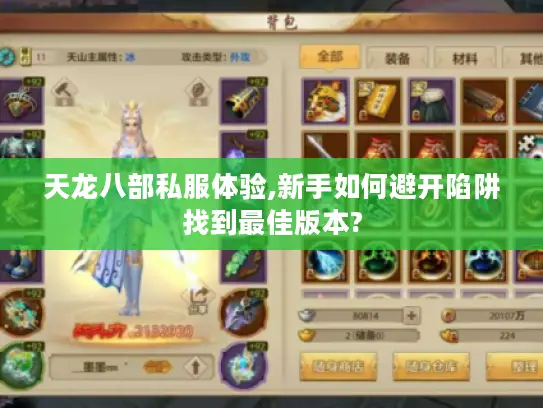 天龙八部私服体验,新手如何避开陷阱找到最佳版本?