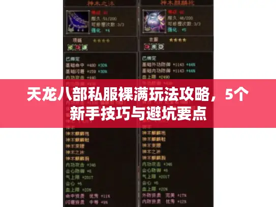 天龙八部私服裸满玩法攻略，5个新手技巧与避坑要点