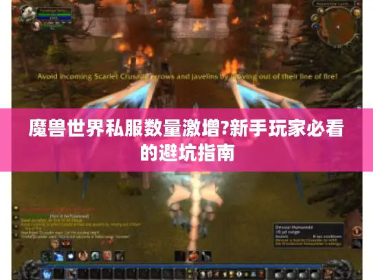 魔兽世界私服数量激增?新手玩家必看的避坑指南
