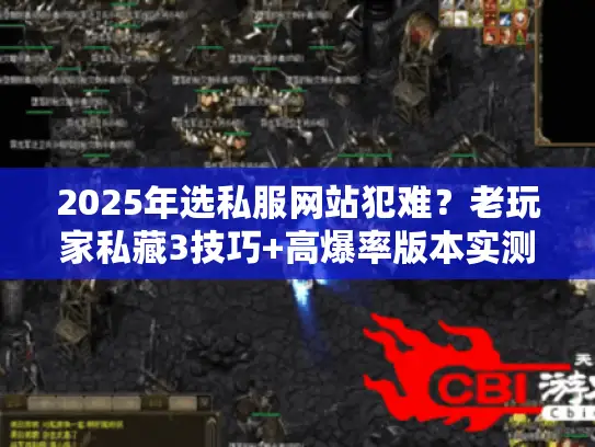 2025年选私服网站犯难？老玩家私藏3技巧+高爆率版本实测揭秘