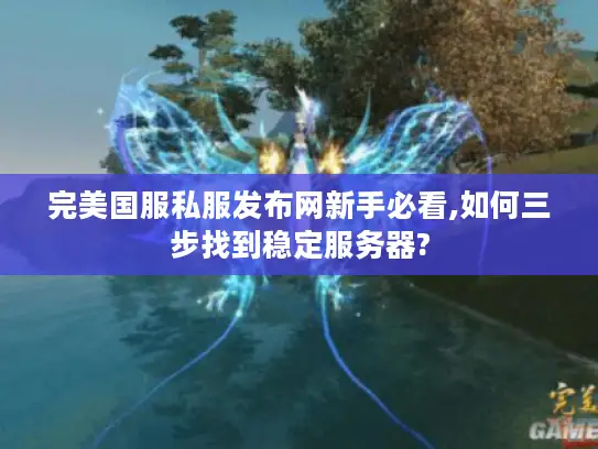 完美国服私服发布网新手必看,如何三步找到稳定服务器?