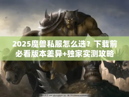 2025魔兽私服怎么选？下载前必看版本差异+独家实测攻略