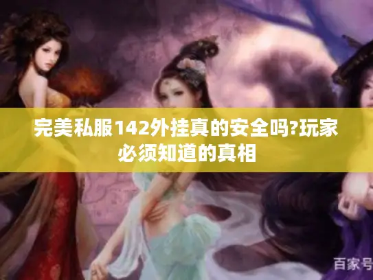 完美私服142外挂真的安全吗?玩家必须知道的真相