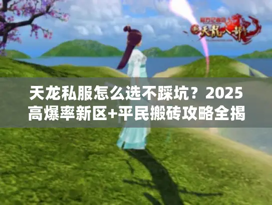 天龙私服怎么选不踩坑？2025高爆率新区+平民搬砖攻略全揭秘