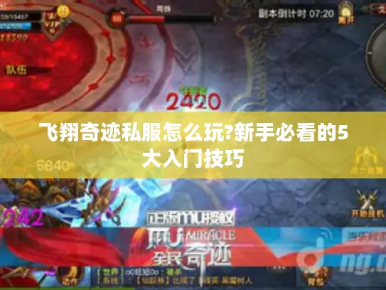 飞翔奇迹私服怎么玩?新手必看的5大入门技巧 飞翔奇迹私服怎么玩?新手必看的5大入门技巧