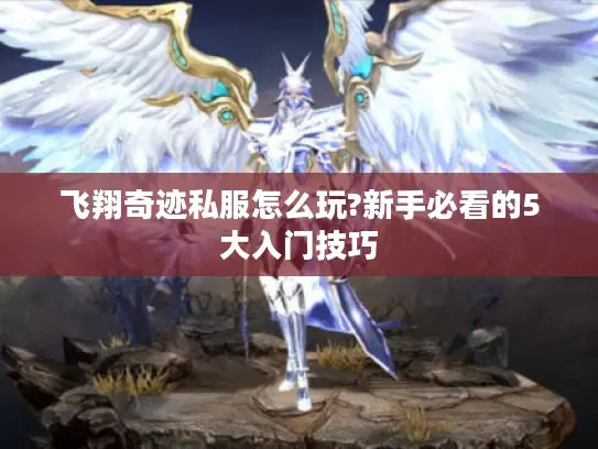 飞翔奇迹私服怎么玩?新手必看的5大入门技巧 飞翔奇迹私服怎么玩?新手必看的5大入门技巧