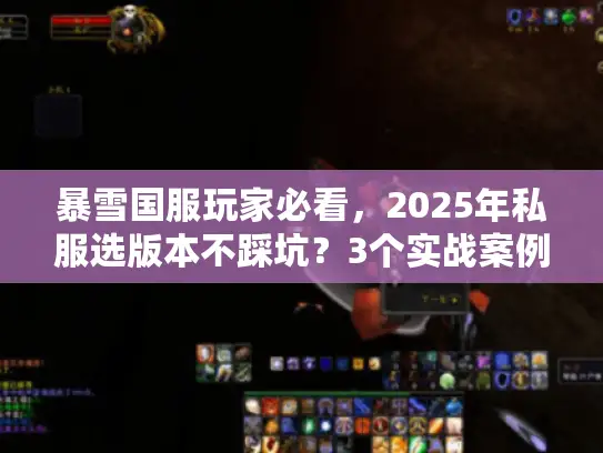 暴雪国服玩家必看，2025年私服选版本不踩坑？3个实战案例+避坑技巧