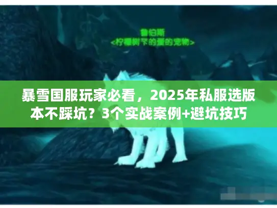 暴雪国服玩家必看，2025年私服选版本不踩坑？3个实战案例+避坑技巧