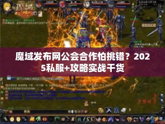 魔域发布网公会合作怕挑错?2025私服+攻略实战干货 魔域发布网公会合作怕挑错?2025私服+攻略实战干货