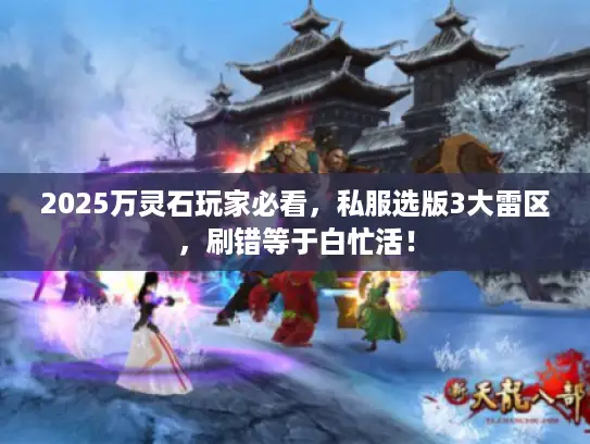2025万灵石玩家必看，私服选版3大雷区，刷错等于白忙活！