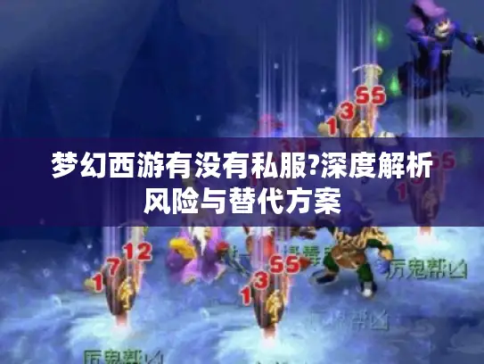 梦幻西游有没有私服?深度解析风险与替代方案