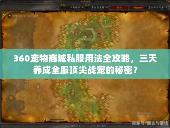 360宠物商城私服用法全攻略,三天养成全服顶尖战宠的秘密? 360宠物商城私服用法全攻略,三天养成全服顶尖战宠的秘密?