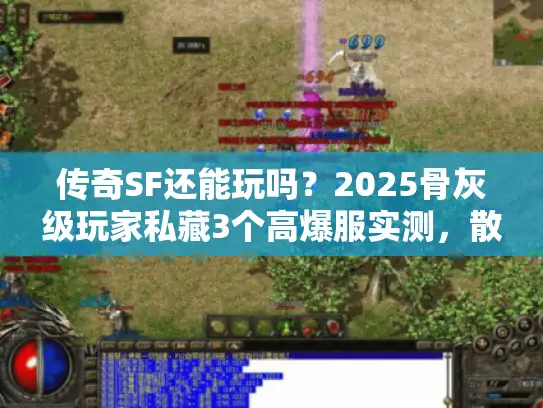 传奇SF还能玩吗?2025骨灰级玩家私藏3个高爆服实测,散人真能逆袭? 传奇SF还能玩吗?2025骨灰级玩家私藏3个高爆服实测,散人真能逆袭?