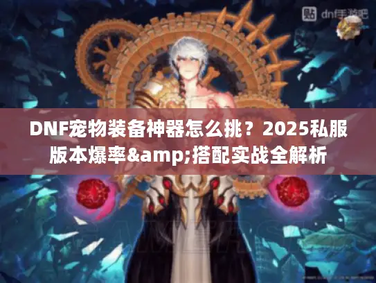 DNF宠物装备神器怎么挑？2025私服版本爆率&搭配实战全解析